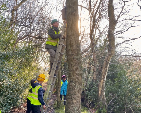 Friends of Adel Woods nest box survey on 13th January 2024