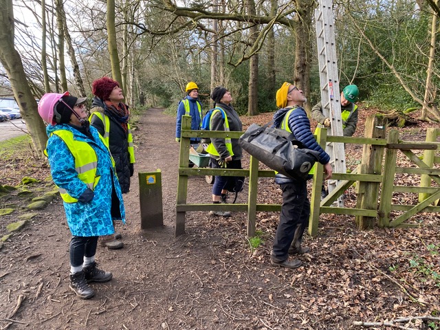 Friends of Adel Woods surveying nest boxes in Adel Woods on 13th January 2024