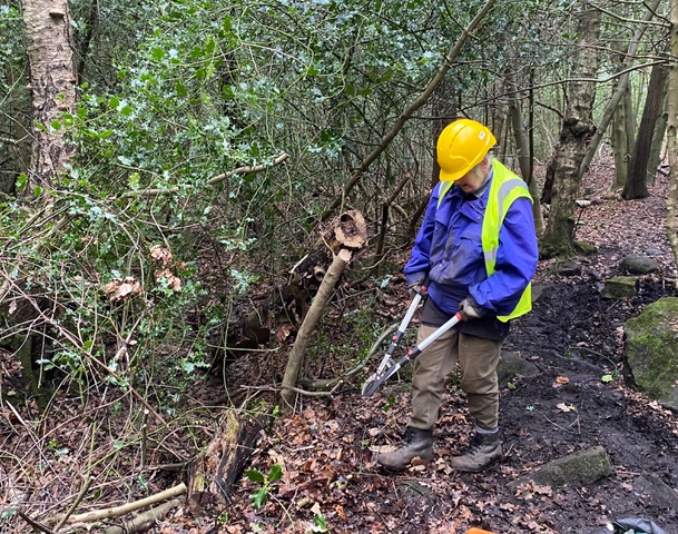 Friends of Adel Woods clearing paths  in Adel Woods