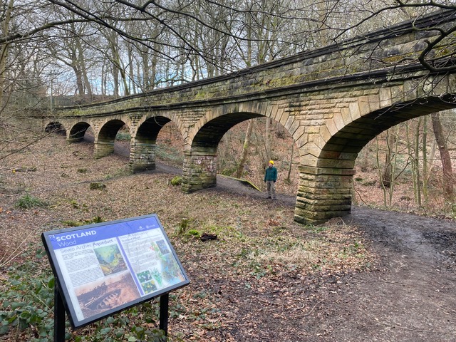 Friends of Adel Woods and the Seven Arches and the Meanwood Valley Trail