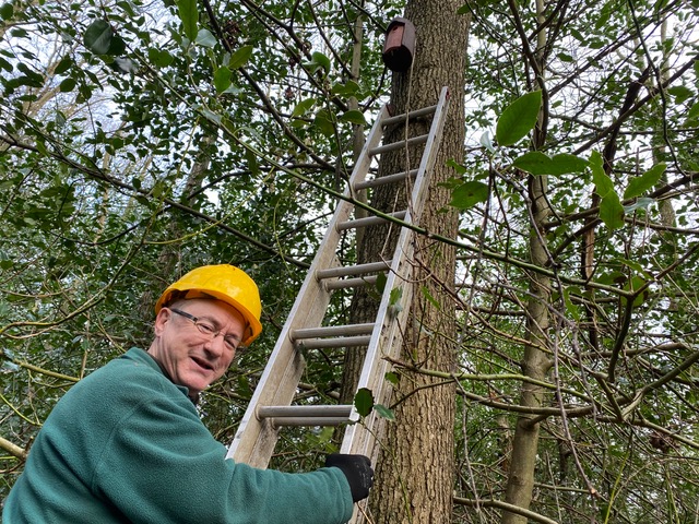 Friends of Adel Woods putting up a tit box on the Meanwood Valley Trail