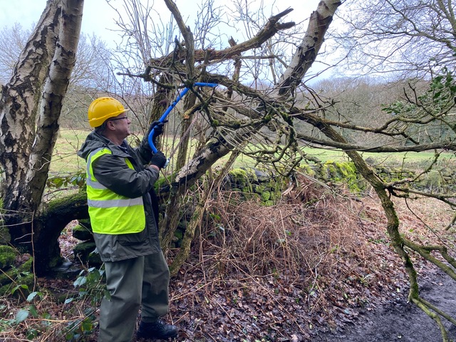 Friends of Adel Woods removing a fallen branch on Crag Lane in Adel Woods on 18th February 2024