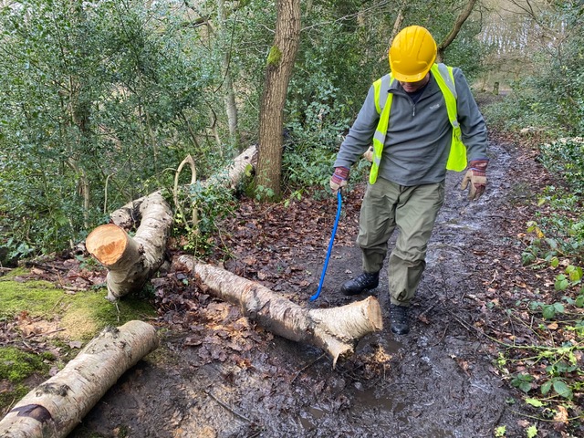 Friends of Adel Woods: path clearing in Adel Woods on 18th February 2024
