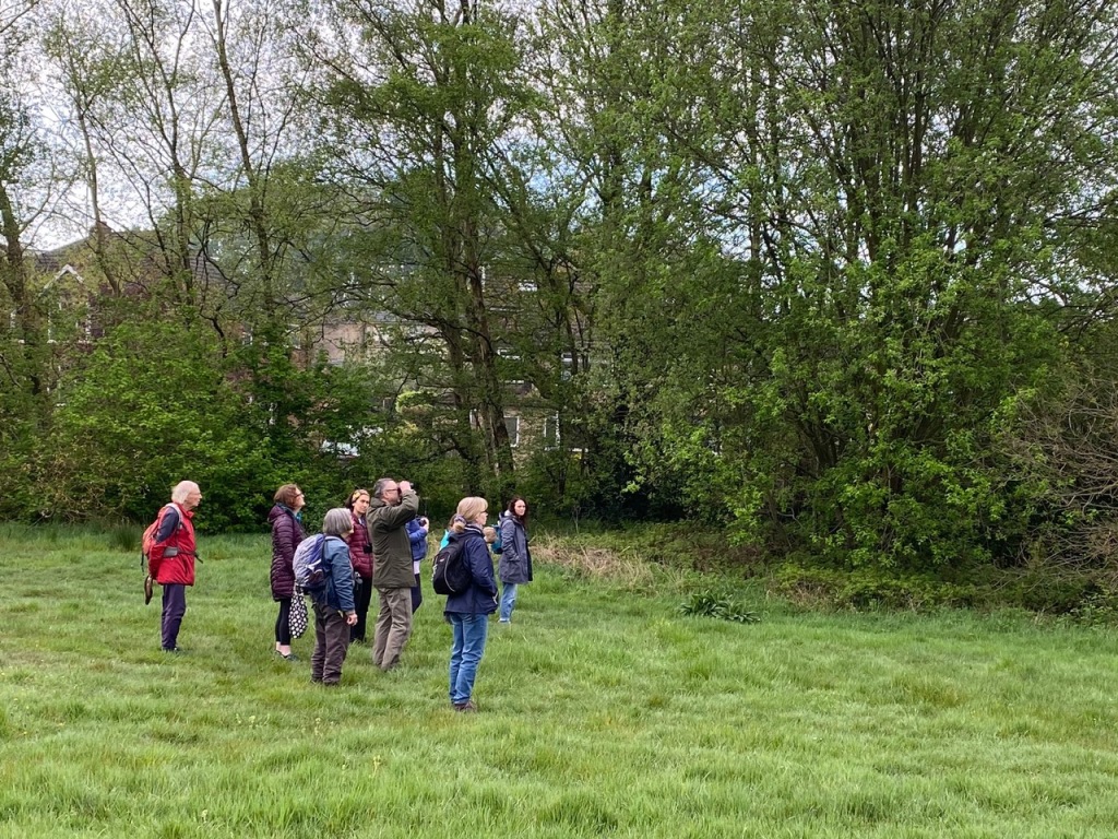Friends of Adel Woods on Alwoodley Village Green looking for a blackcap on 5th May 2024