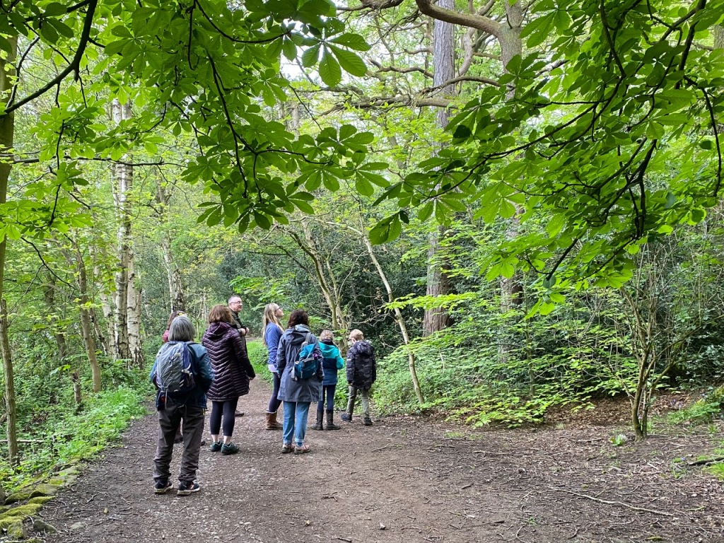 Friends of Adel Woods: birdsong walk in Adel Woods with Steve Joul on the 5th May 29024
