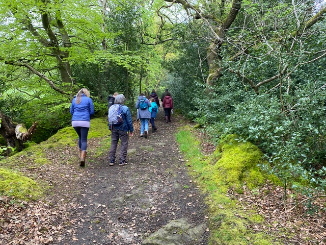 Friends of Adel Woods; birdsong walk on the 5th May 2024