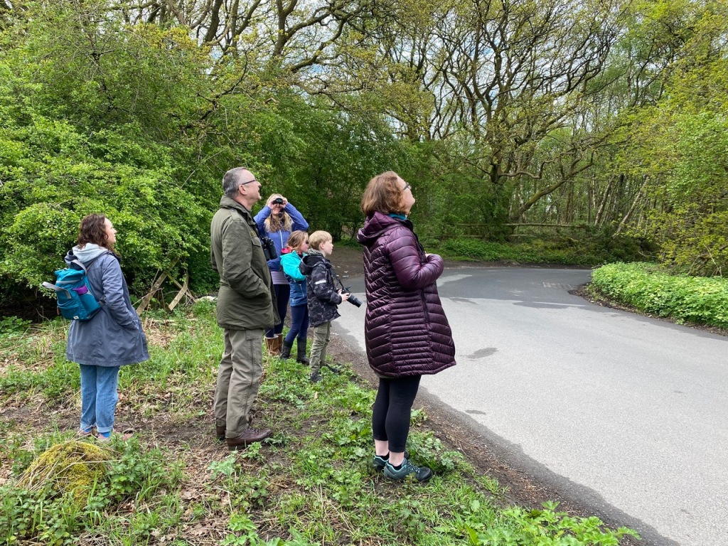 Friends of Adel Woods listening to a willow warbler on Stairfoot Lane on the 5th May 2024
