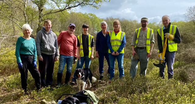 Friends of Adel Woods working on Adel Moor on 21st April 2024