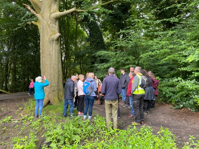 Friends of Adel Woods in Alwoodley Plantation on the 30th June 2024