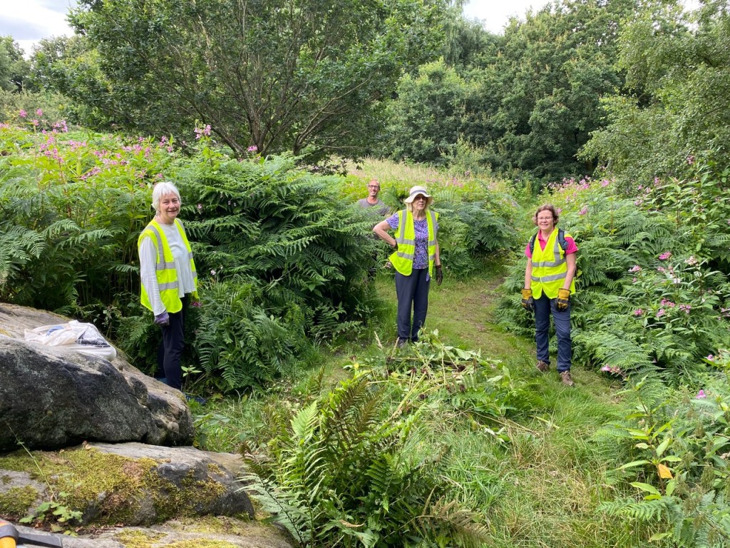 Friends of Adel Woods clearing bracken and Himalayan balsam from around the Buck Stone in Adel Woods