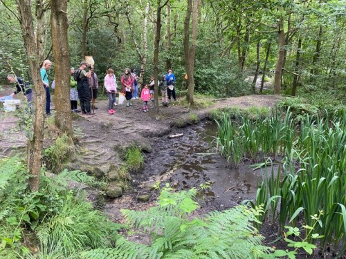 Friends of Adel Woods at Adel Pond in Adel Woods on the 21st July 2024