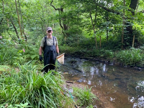 Friends of Adel Woods: a stream and pond safari on the 21st July 2024.