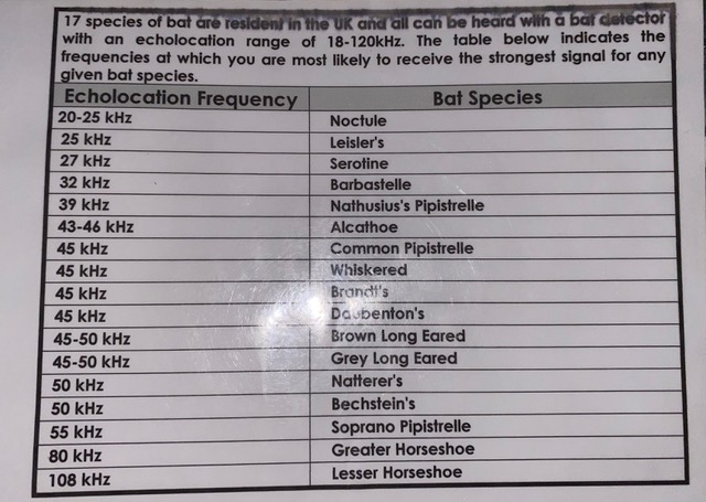 Friends of Adel Woods: a list of seventeen species of bat resident in the UK