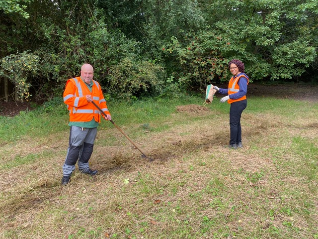 Friends of Adel Woods scattering woodland edge wildflower seeds in the cricket meadow in 
Adel Woods