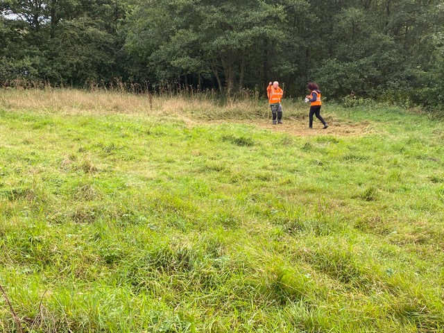 Friends of Adel Woods scattering yellow rattle seeds on 19th September 2024