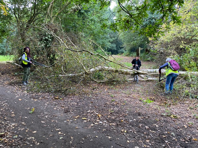Friends of Adel Woods clearing away fallen trees in the picnic area of Adel Woods on 21st September 2024