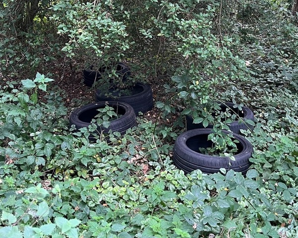 Friends of Adel Woods: fly tipping in Adel Woods