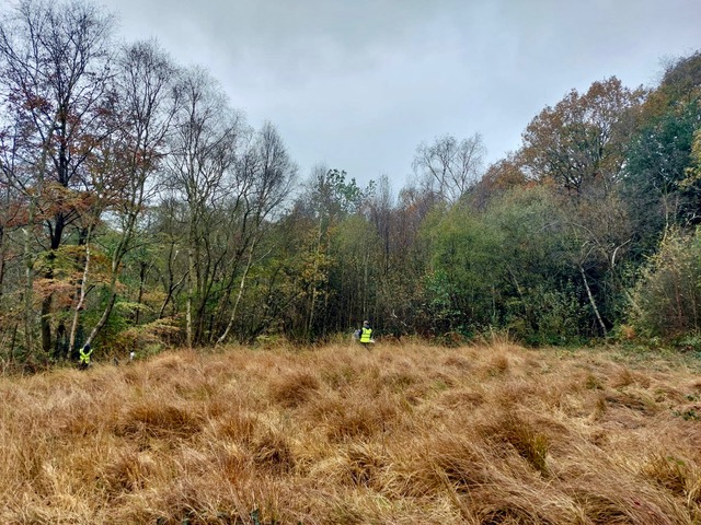 Friends of Adel Woods working on Adel Bog in Adel Woods