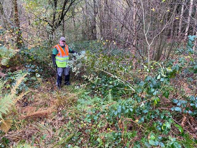 David Preston standing by a new stretch of dead hedge created on the border of Adel Bog by Friends of Adel Woods