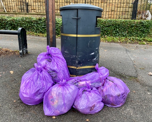 Litterpicking with Friends of Adel Woods in Adel Woods, Leeds.