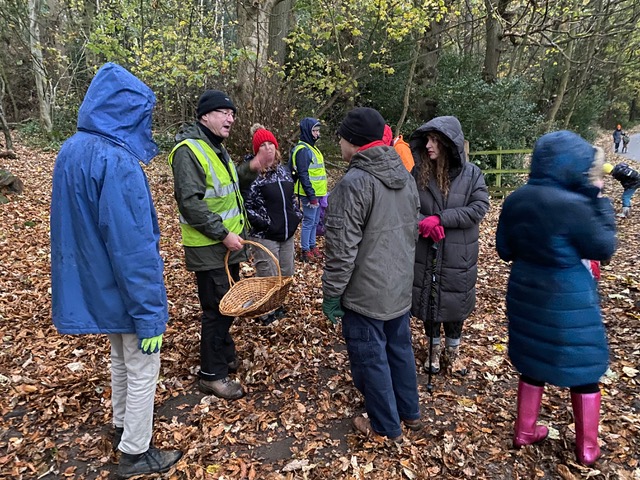 Friends of Adel Woods: a fungal foray in November 2024