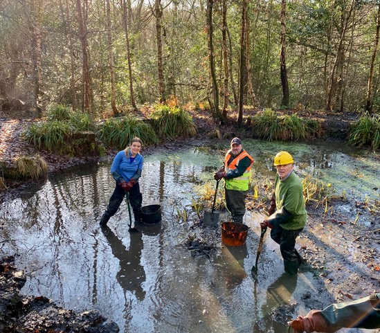 Friends of Adel Woods dredging Adel Pond on the 14th December 2024
