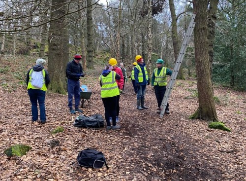 Friends of Adel Woods surveying and cleaning nest boxes on 19th January 2025