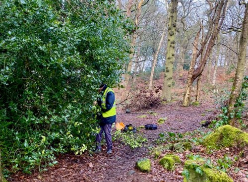 Friends of Adel Woods path clearing in Adel Woods