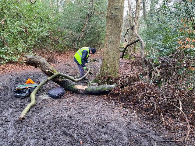 Friends of Adel Woods path clearing in Adel Woods