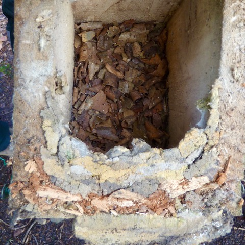 Friends of Adel Woods and a photograph of a nuthatch nest in a tit box in 2020