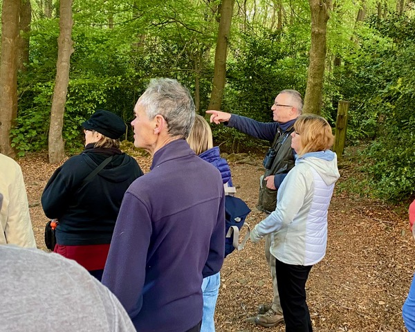 Friends of Adel Woods: birdsong walk on 4th May 2025