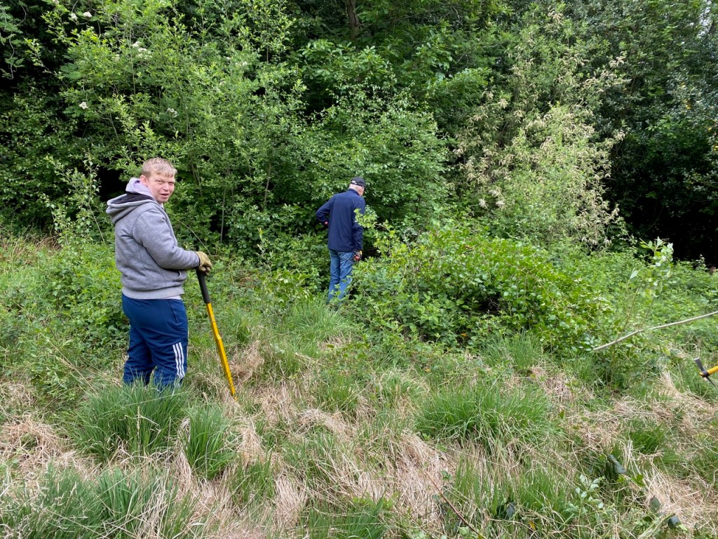 Friends of Adel Woods working on Adel Bog: clearing saplings with a tree popper.