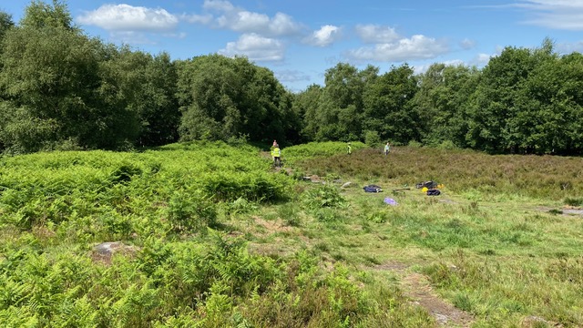 Friends of Adel Woods working on Adel Moor on the 15th June 2025