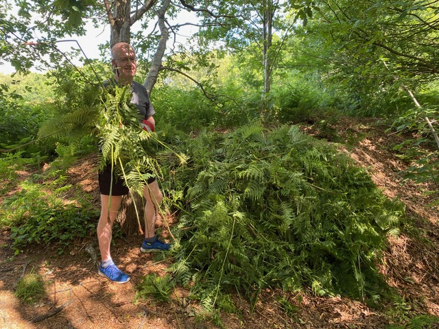 Friends of Adel Woods working on Adel Moor on the 15th June 2025