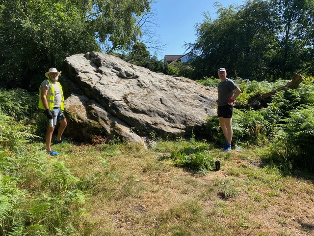 Friends of Adel Woods working on the Buck Stone on the 12th July 2025
