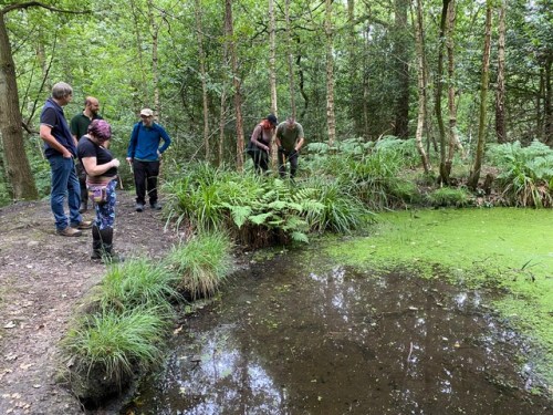 Friends of Adel Woods and Adel Pond on the 23rd July 2025