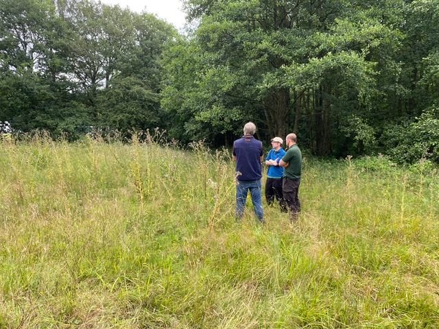 Friends of Adel Woods: inspecting the orchid (or cricket meadow)