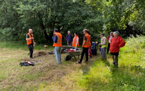 Friends of Adel Woods working with ranger Joe Craig-Jackson in August 2025
