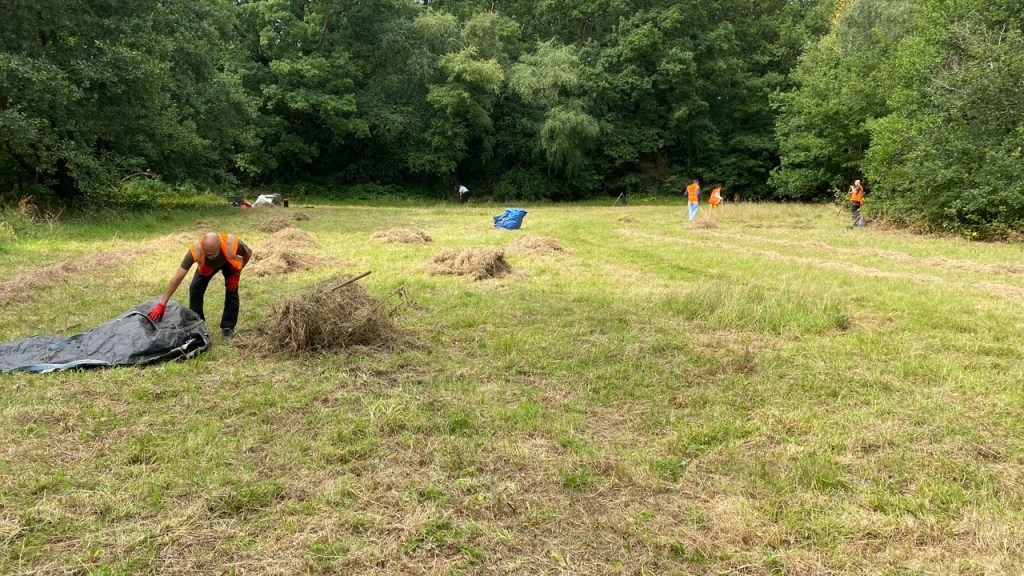 Friends of Adel Woods working on the orchid meadow in Adel Woods on the 9th August 2025