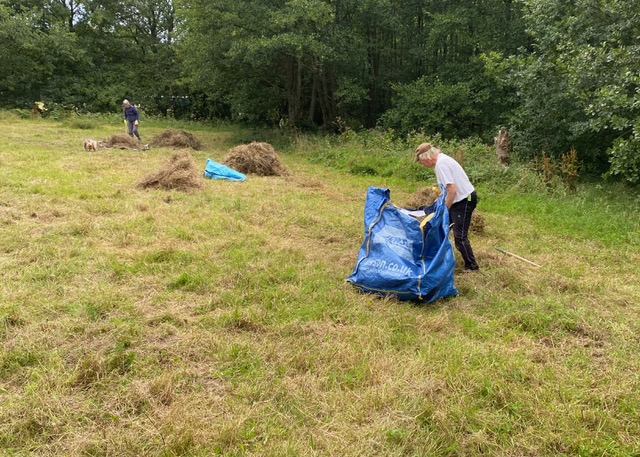 Friends of Adel Woods working on the orchid meadow in Adel Woods on the 9th August 2025