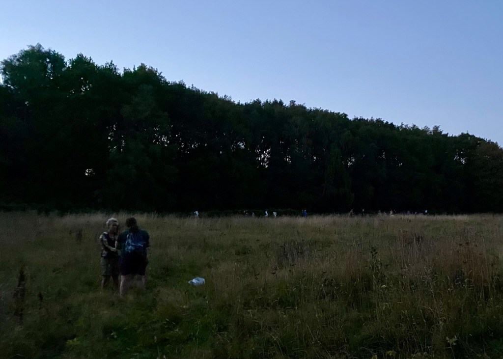 Friends of Adel Woods on a bat walk in the disused rugby field in Adel Woods in August 2025