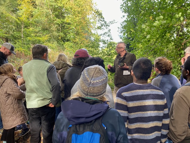 Friends of Adel Woods: a fungal foray on 5th October 2025