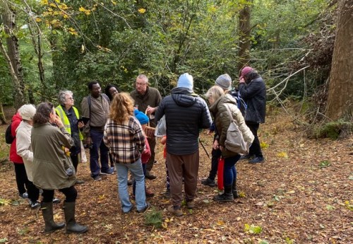 A fungal foray with Friends of Adel Woods