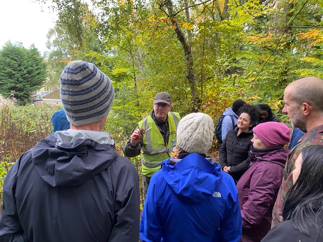 Friends of Adel Woods and a fungal foray in Adel Woods on 26th October 2025
