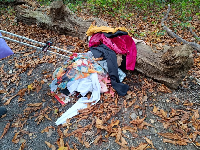 Friends of Adel Woods litterpicking in Adel Woods: flytipping