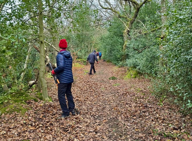 Friends of Adel Woods clearing a path in Adel Woods on the 14th December 2025