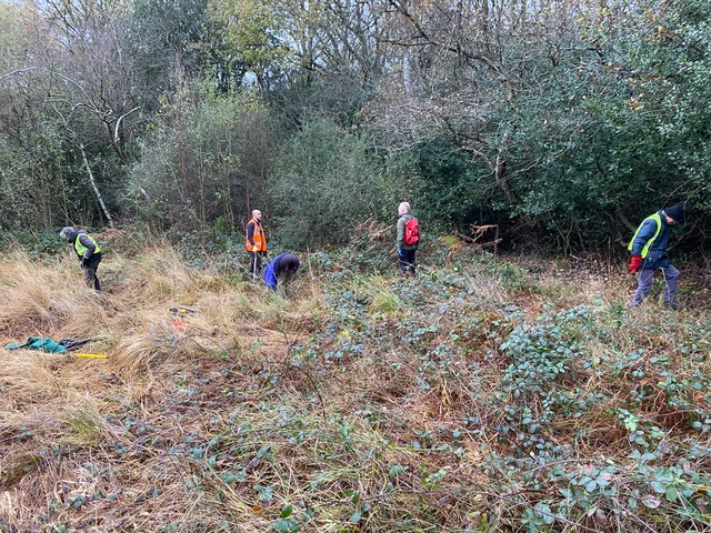 Friends of Adel Woods working on Adel Bog on the 22nd November 2025