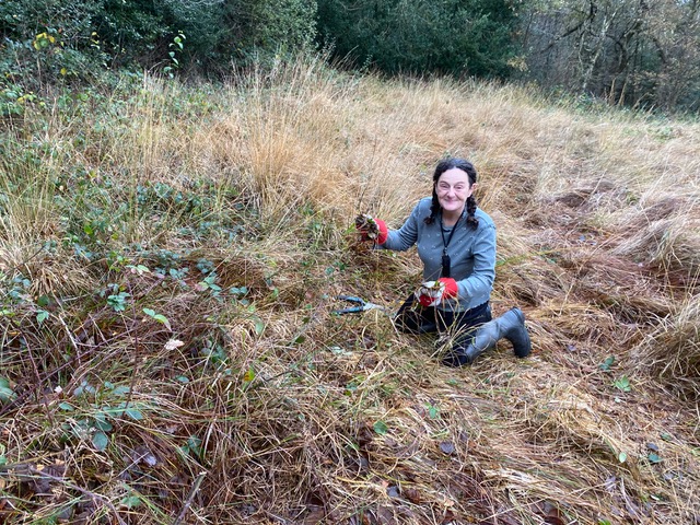 Friends of Adel Woods working on Adel Bog on the 22nd November 2025