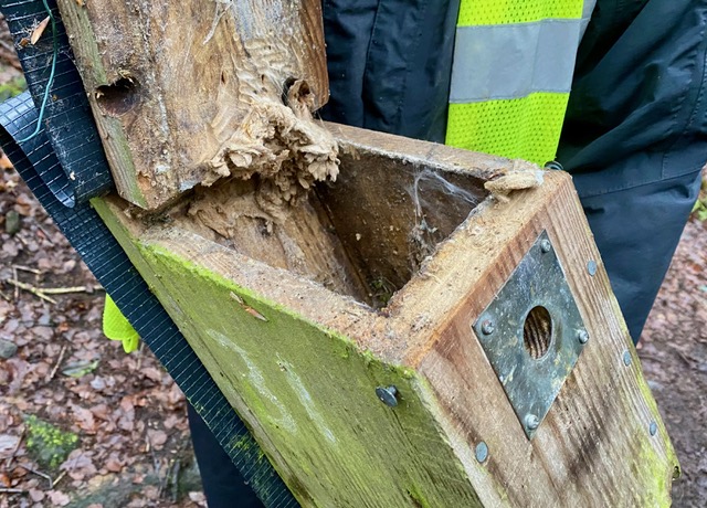 Friends of Adel Woods and a next box containing cocoons of wax moths