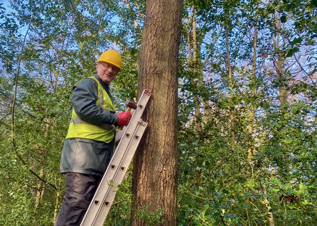Friends of Adel Woods: surveying nest boxes on Wednesday the 28th January 2026